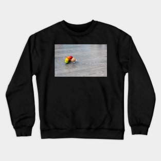 Colorful wooden toy Crewneck Sweatshirt